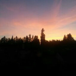 Meet your Posher, Maya